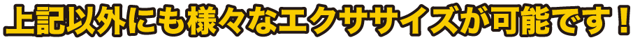 上記以外にも様々なエクササイズが可能です!